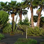 Daire Casa Ti - Botanica *