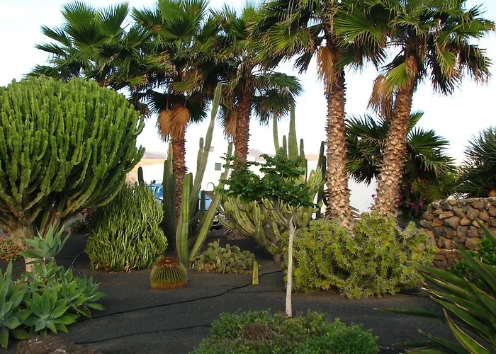 شقة Casa Ti - Botanica *