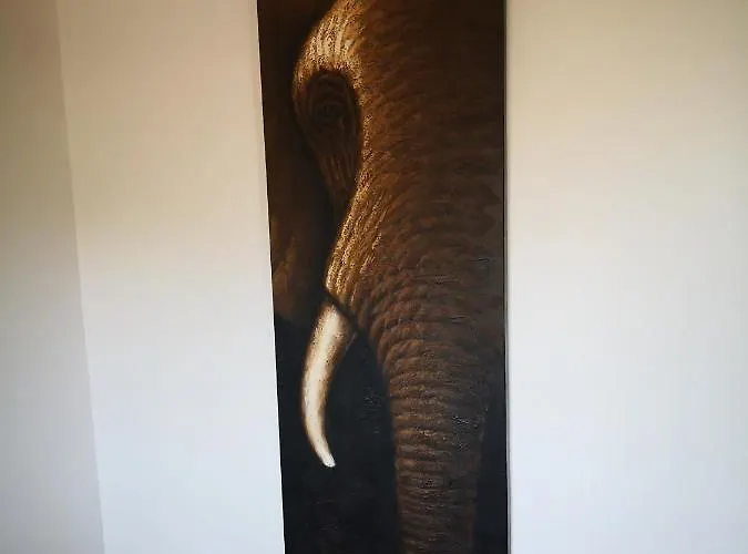 Apartament Casa Ti - Botanica